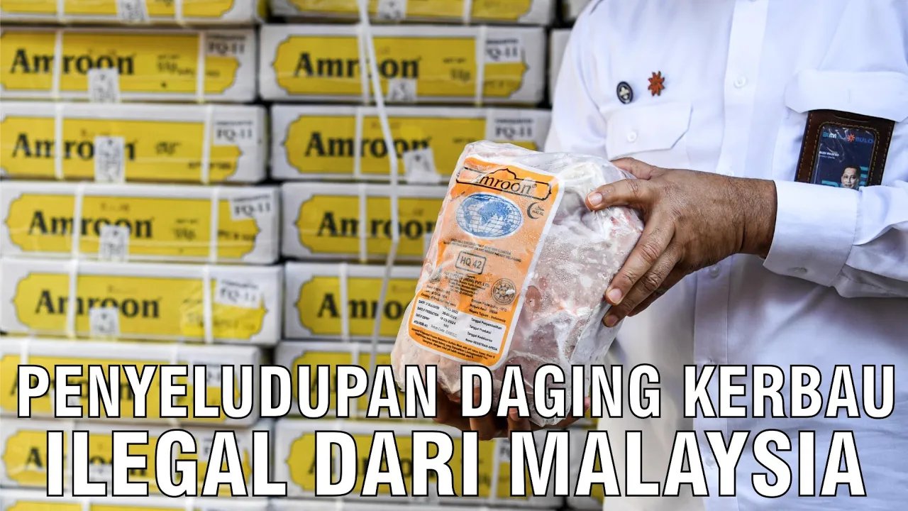 
                                 Daging-Kerbau-Ilegal-Malaysia-Diseludupkan